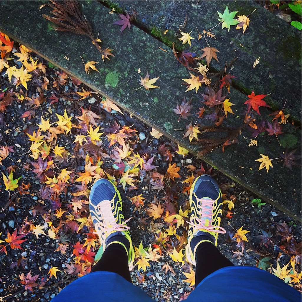 f:id:trail1048:20161228122303j:image