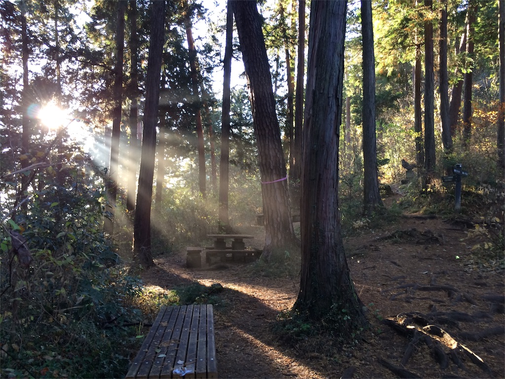 f:id:trail1048:20161228122344j:image