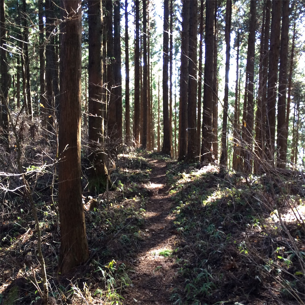 f:id:trail1048:20161230072801j:image f:id:trail1048:20161230072801j:image