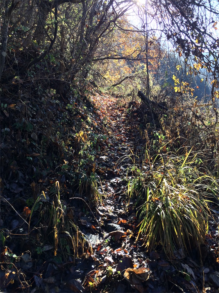 f:id:trail1048:20161230073144j:image f:id:trail1048:20161230073144j:image