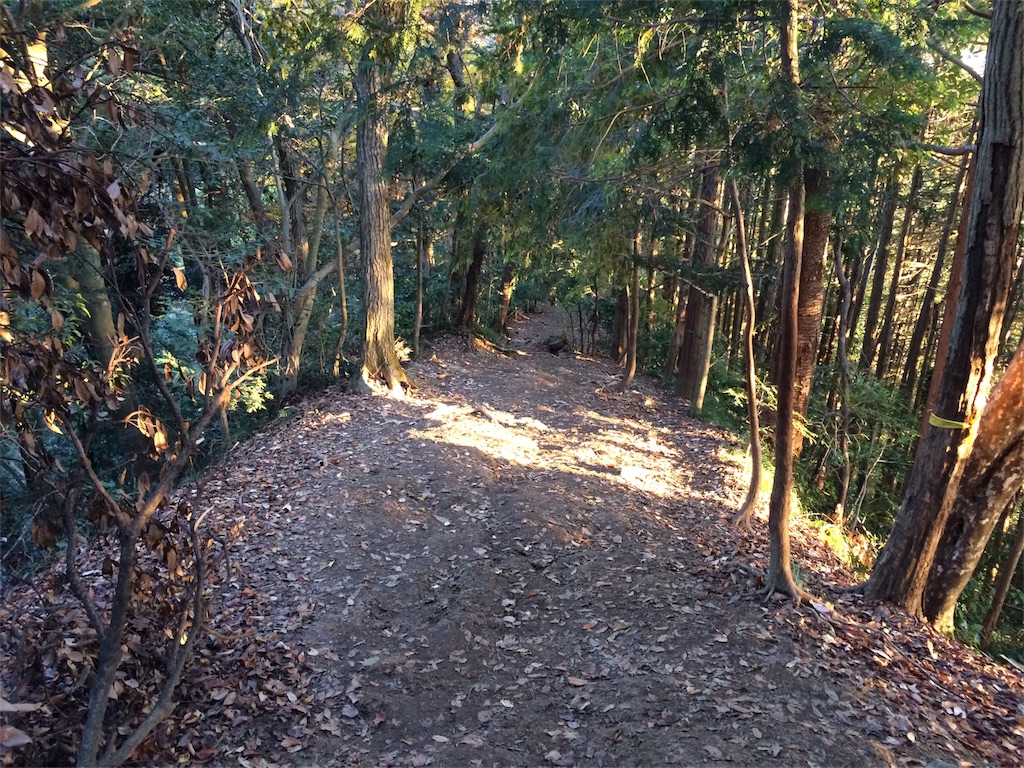 f:id:trail1048:20170112133817j:image f:id:trail1048:20170112133817j:image