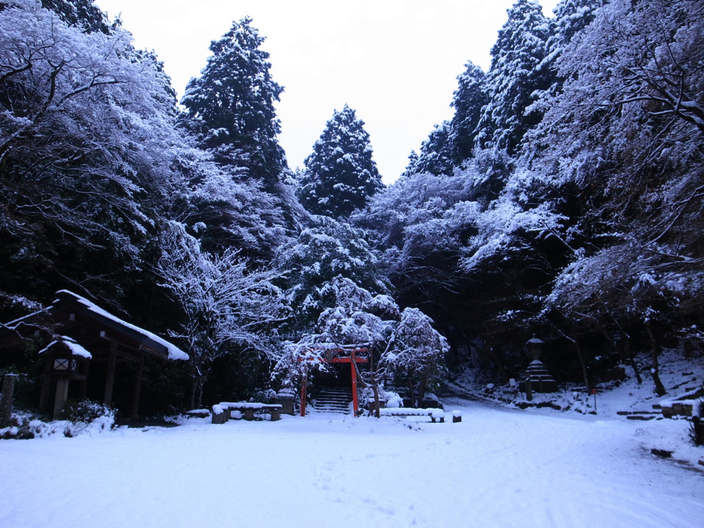 f:id:trail1048:20170206145314j:plain f:id:trail1048:20170206145314j:plain