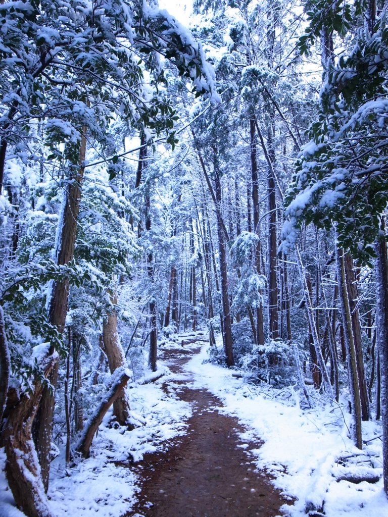 f:id:trail1048:20170206150306j:plain f:id:trail1048:20170206150306j:plain