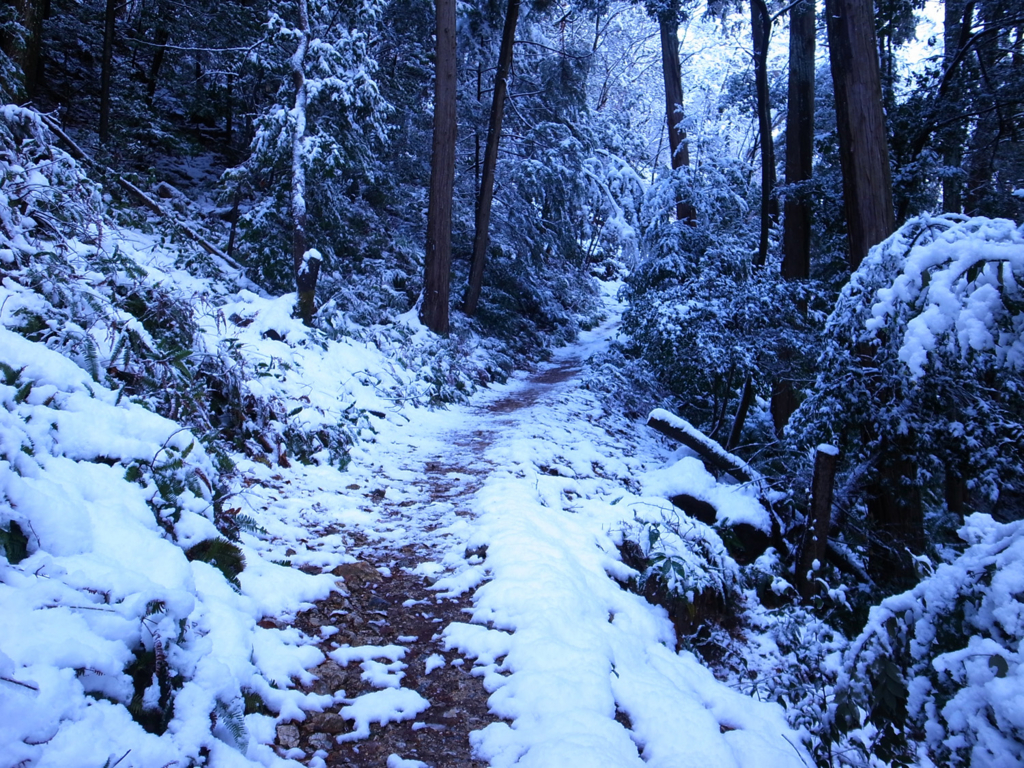 f:id:trail1048:20170206150451j:plain f:id:trail1048:20170206150451j:plain