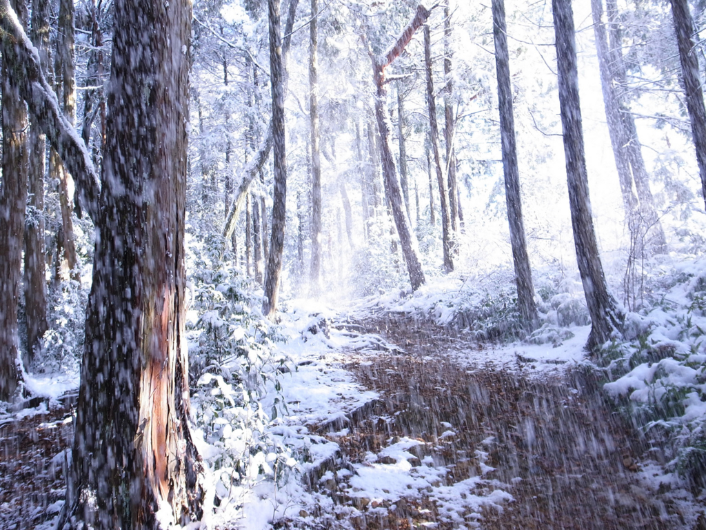 f:id:trail1048:20170206150457j:plain f:id:trail1048:20170206150457j:plain