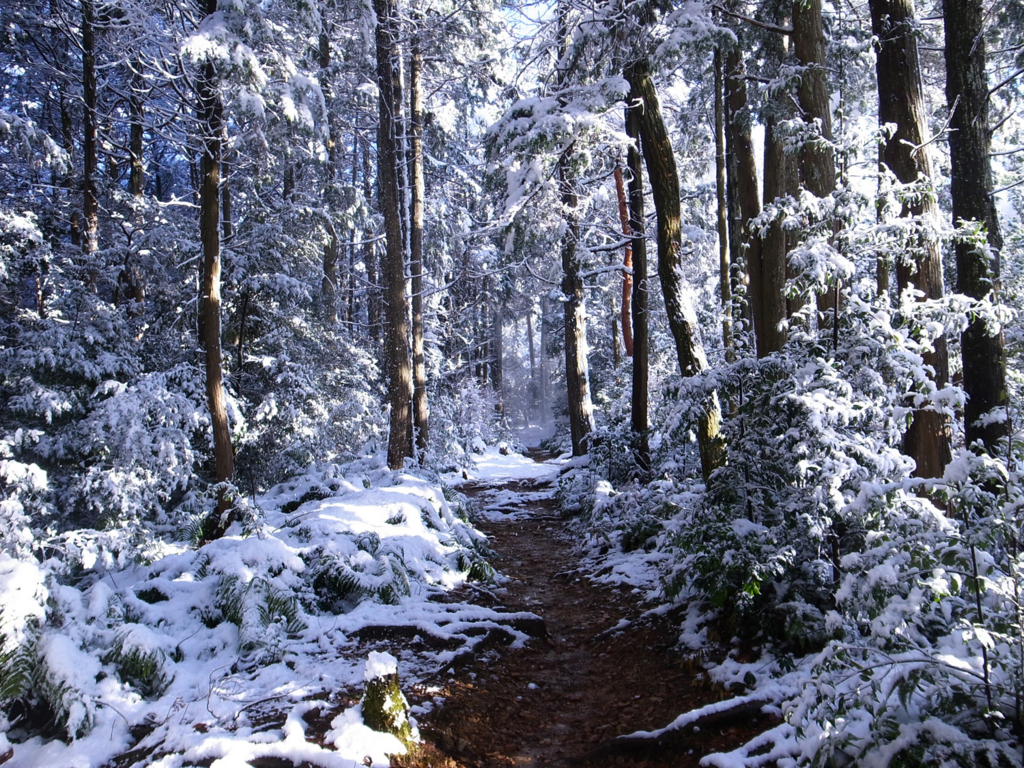 f:id:trail1048:20170206150643j:plain f:id:trail1048:20170206150643j:plain