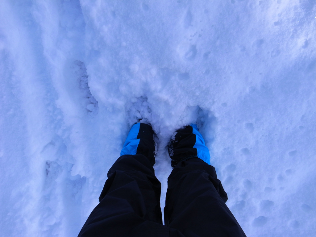 f:id:trail1048:20170206150911j:plain f:id:trail1048:20170206150911j:plain