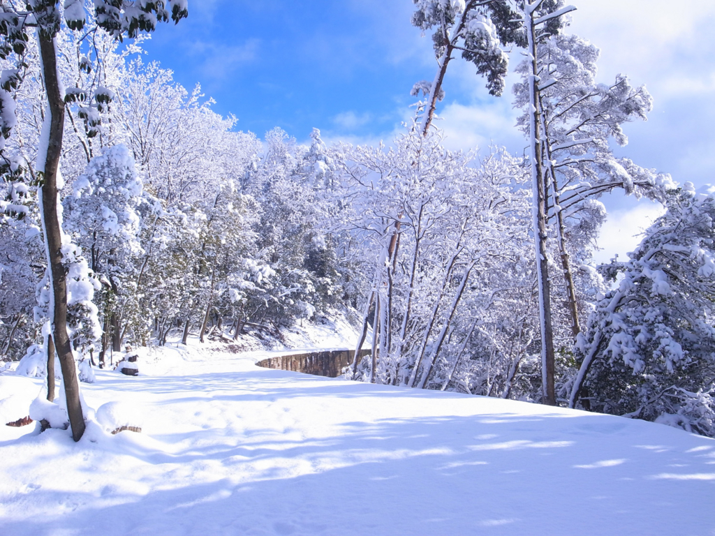 f:id:trail1048:20170206150914j:plain f:id:trail1048:20170206150914j:plain