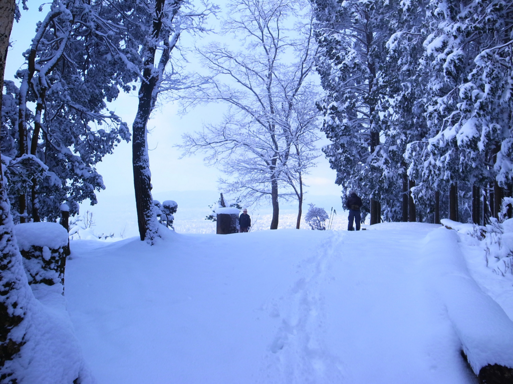 f:id:trail1048:20170206150951j:plain f:id:trail1048:20170206150951j:plain