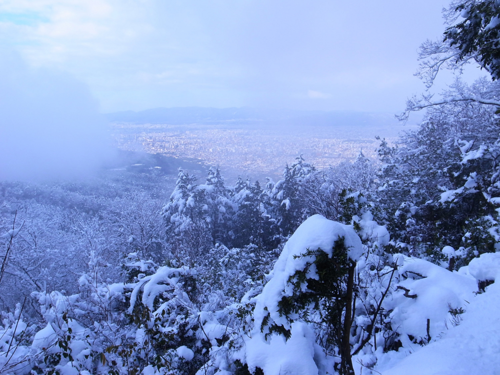 f:id:trail1048:20170206150957j:plain f:id:trail1048:20170206150957j:plain