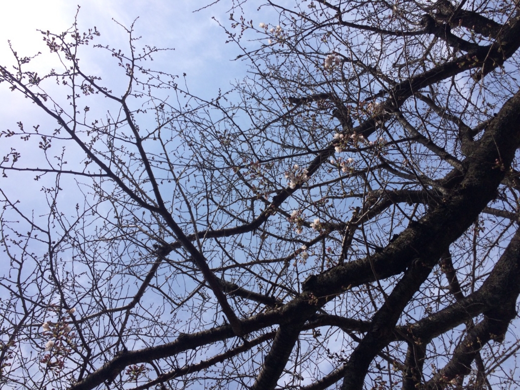 f:id:trail1048:20170401072950j:plain f:id:trail1048:20170401072950j:plain