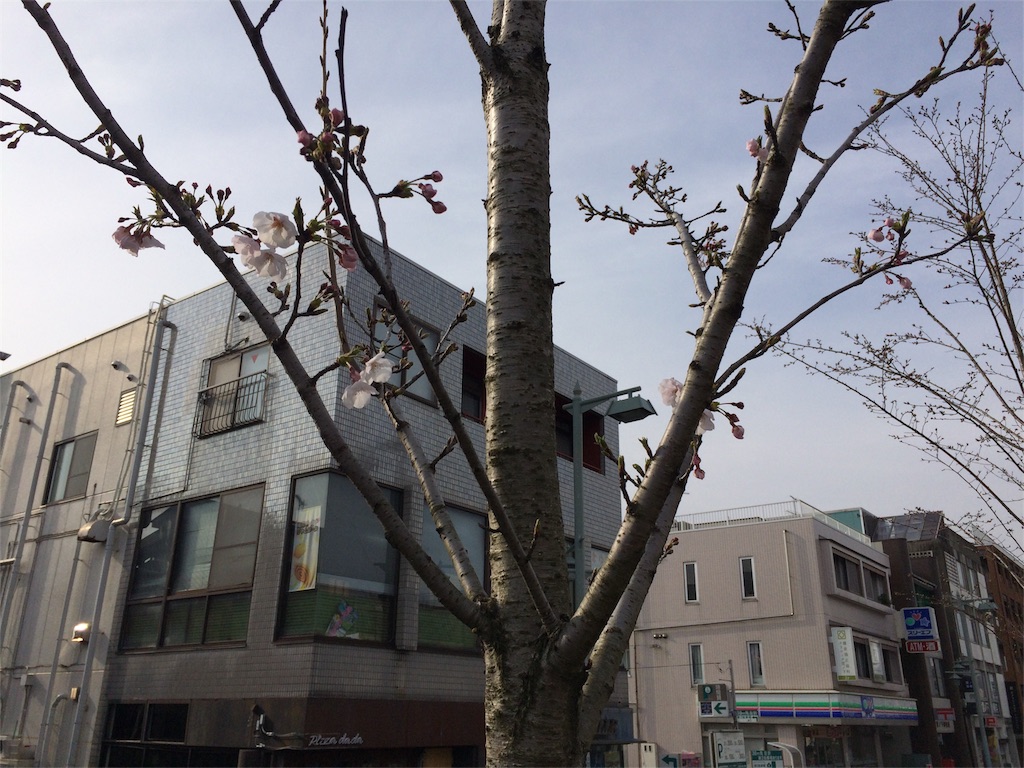 f:id:trail1048:20170402091322j:image f:id:trail1048:20170402091322j:image