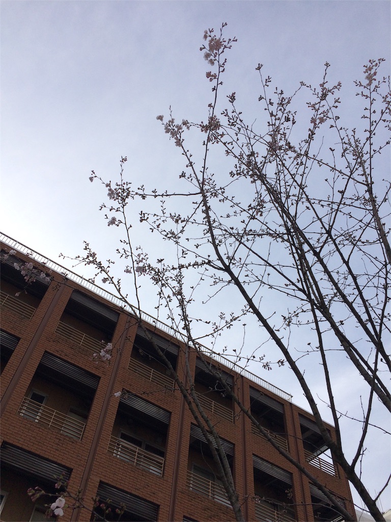 f:id:trail1048:20170402091325j:image f:id:trail1048:20170402091325j:image