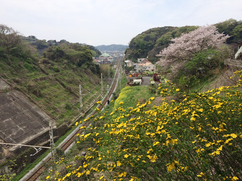 f:id:trail1048:20170418080114j:plain f:id:trail1048:20170418080114j:plain