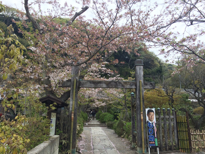 f:id:trail1048:20170418080150j:plain f:id:trail1048:20170418080150j:plain