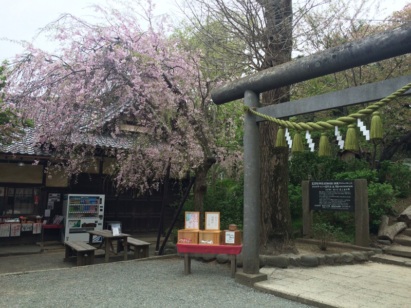 f:id:trail1048:20170418080225j:plain f:id:trail1048:20170418080225j:plain