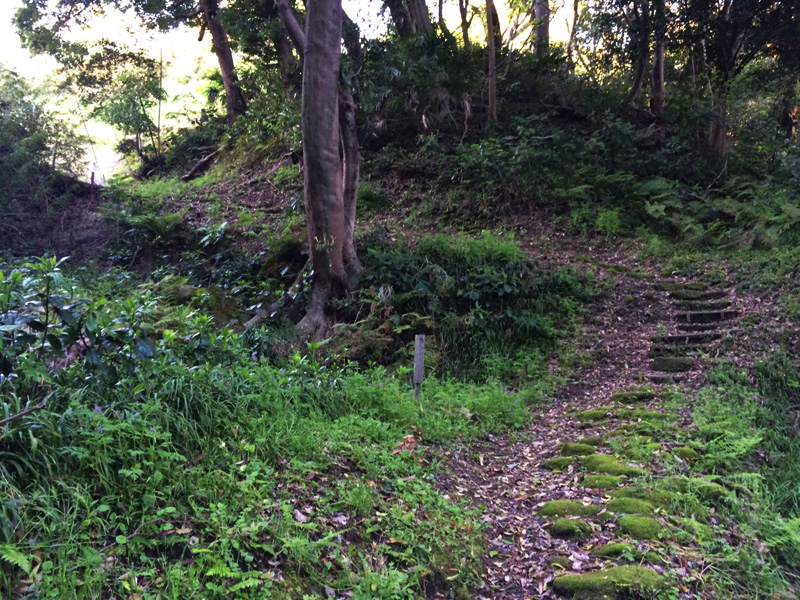 f:id:trail1048:20170426094706j:plain