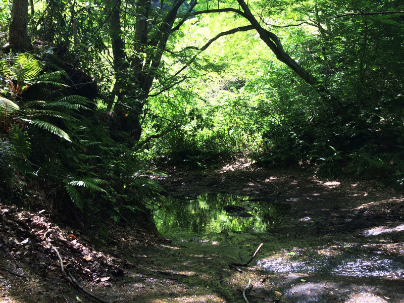f:id:trail1048:20170501090212j:plain