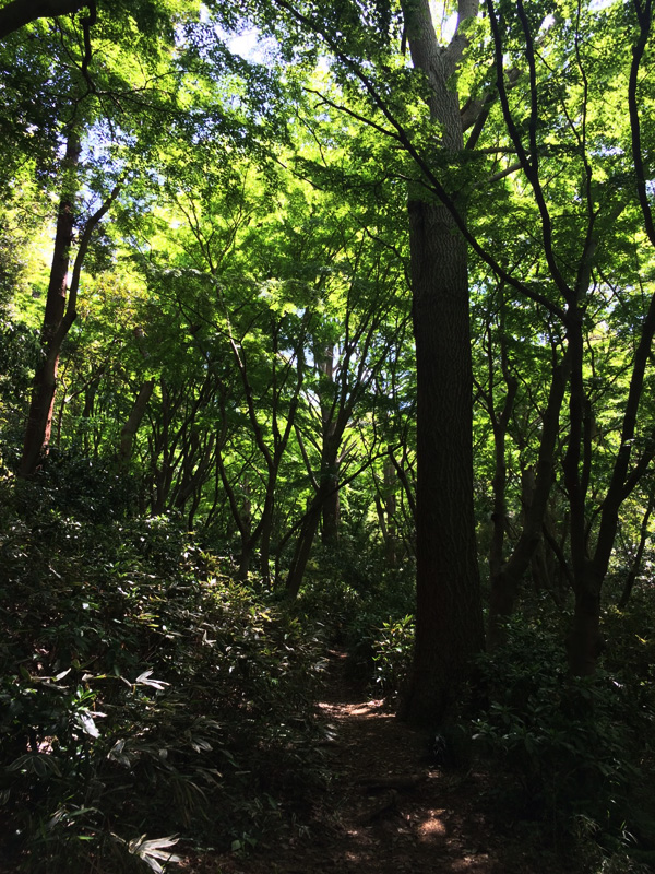 f:id:trail1048:20170501090247j:plain