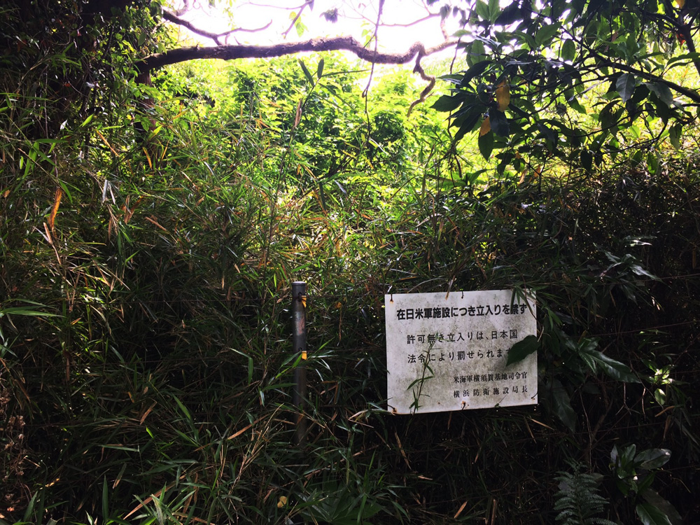 f:id:trail1048:20170520071701j:plain f:id:trail1048:20170520071701j:plain