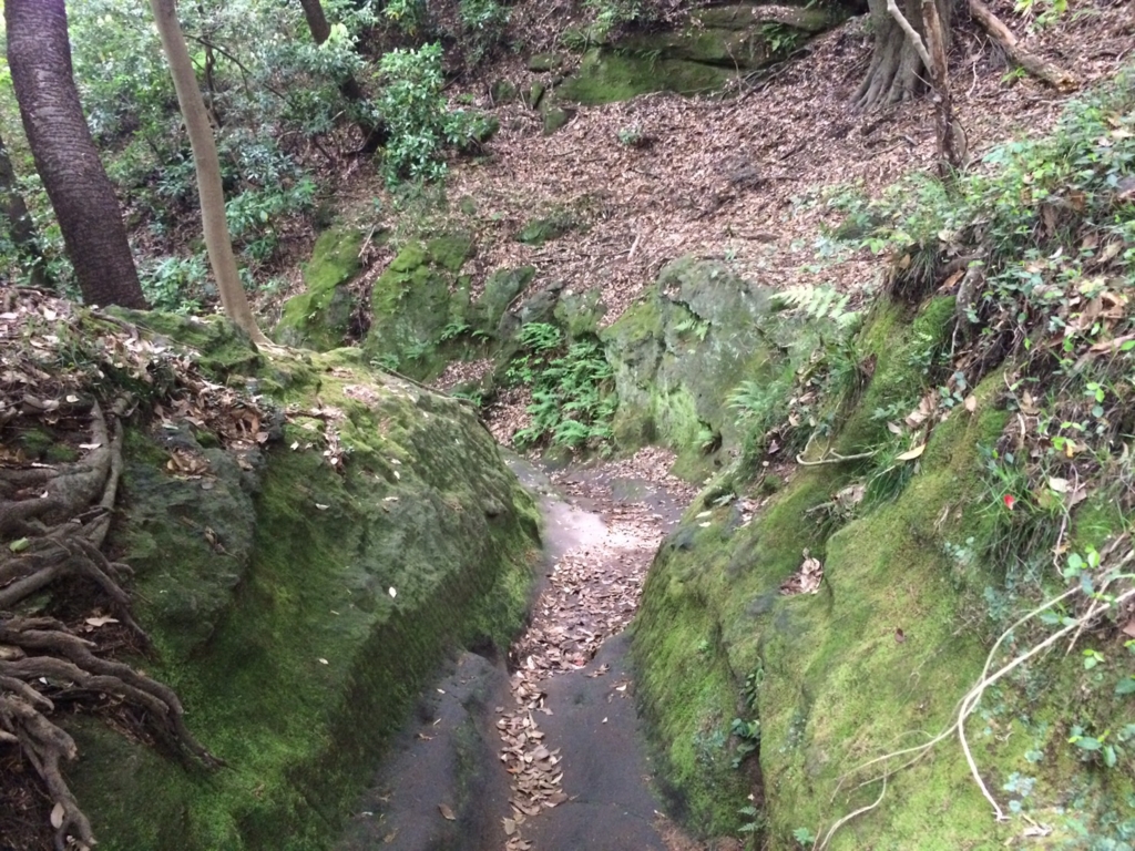 f:id:trail1048:20170520071843j:plain f:id:trail1048:20170520071843j:plain