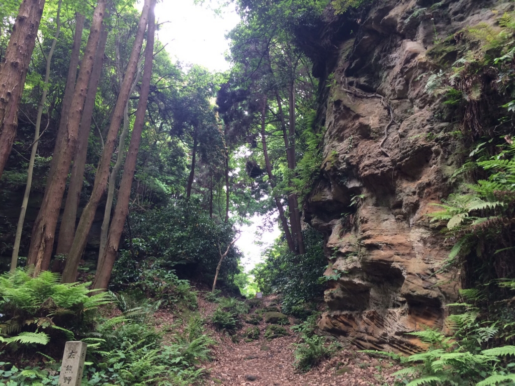 f:id:trail1048:20170522123615j:plain f:id:trail1048:20170522123615j:plain