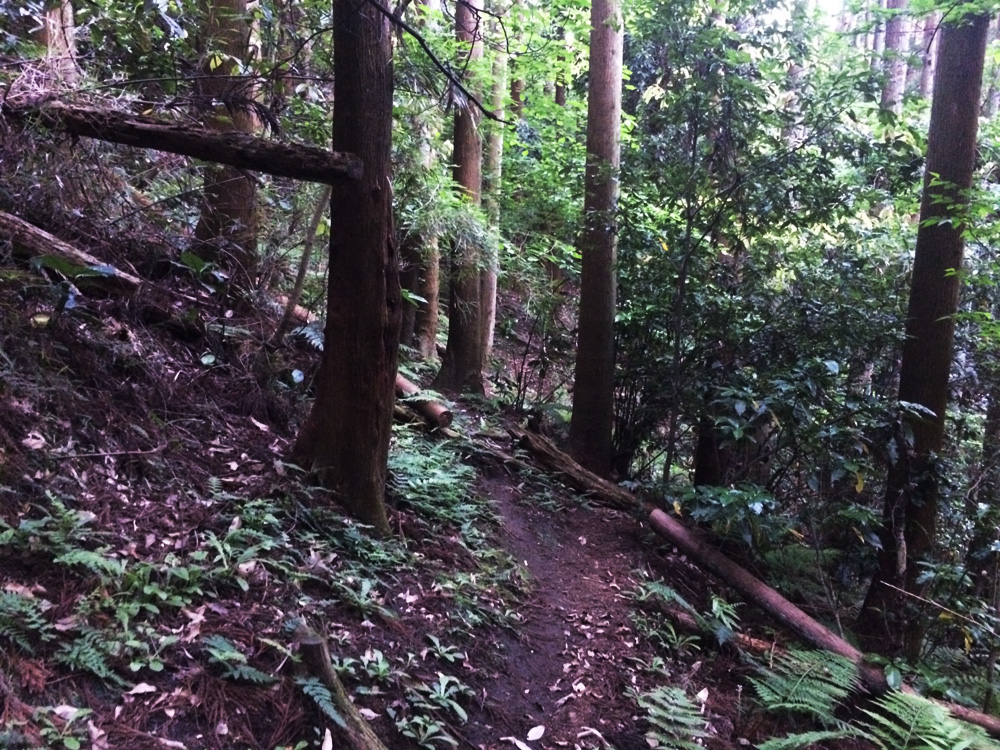 f:id:trail1048:20170523082753j:plain f:id:trail1048:20170523082753j:plain