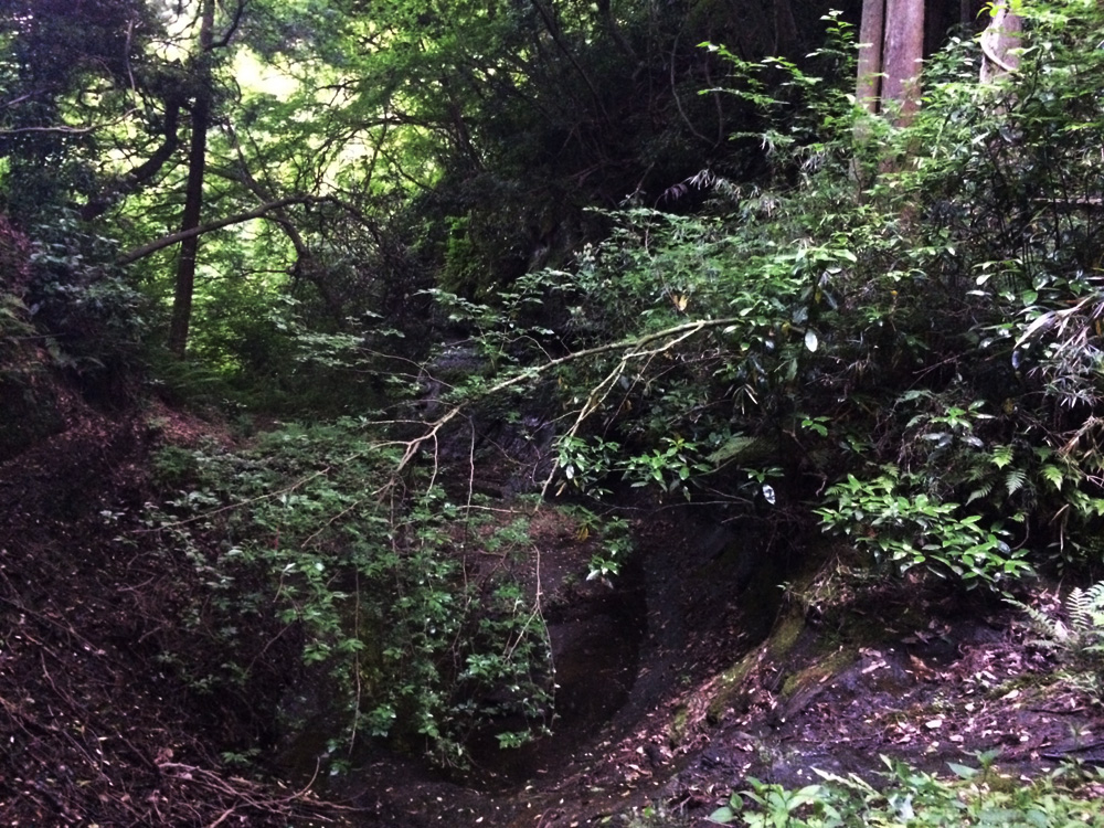 f:id:trail1048:20170523082757j:plain f:id:trail1048:20170523082757j:plain