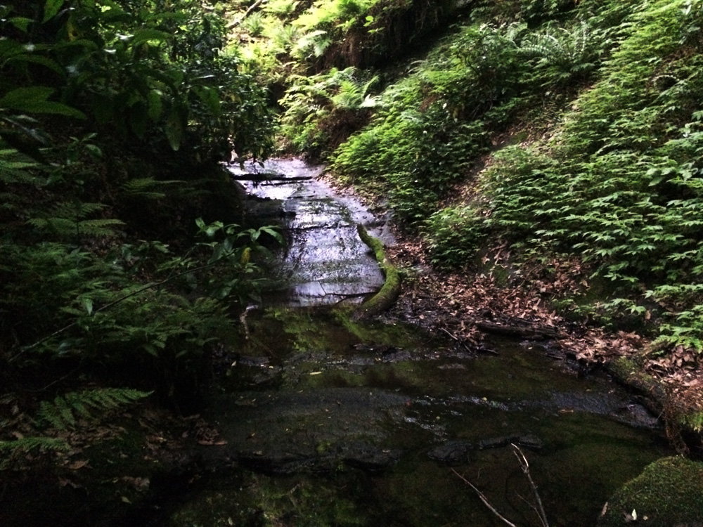 f:id:trail1048:20170523082804j:plain f:id:trail1048:20170523082804j:plain