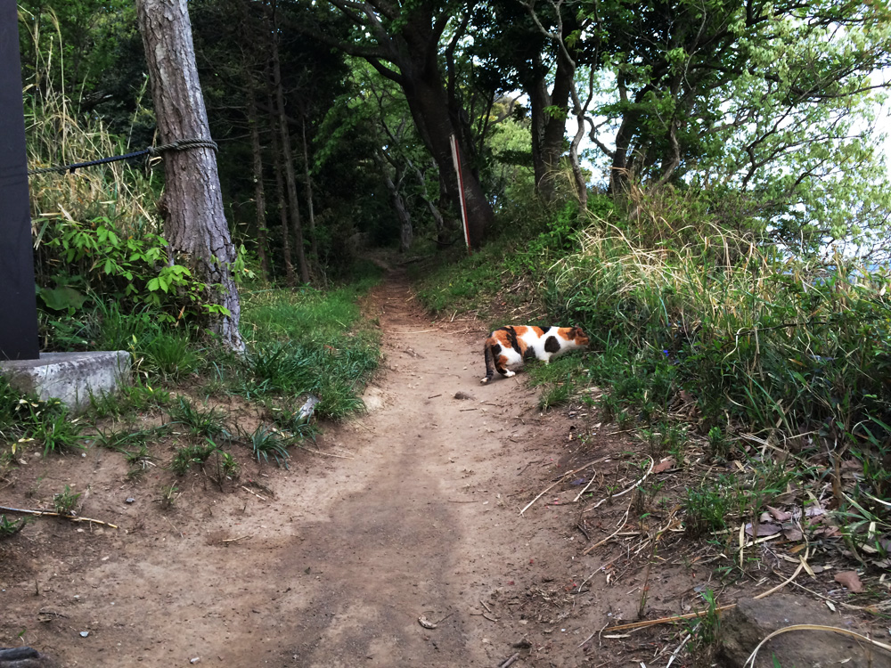 f:id:trail1048:20170601091154j:plain f:id:trail1048:20170601091154j:plain