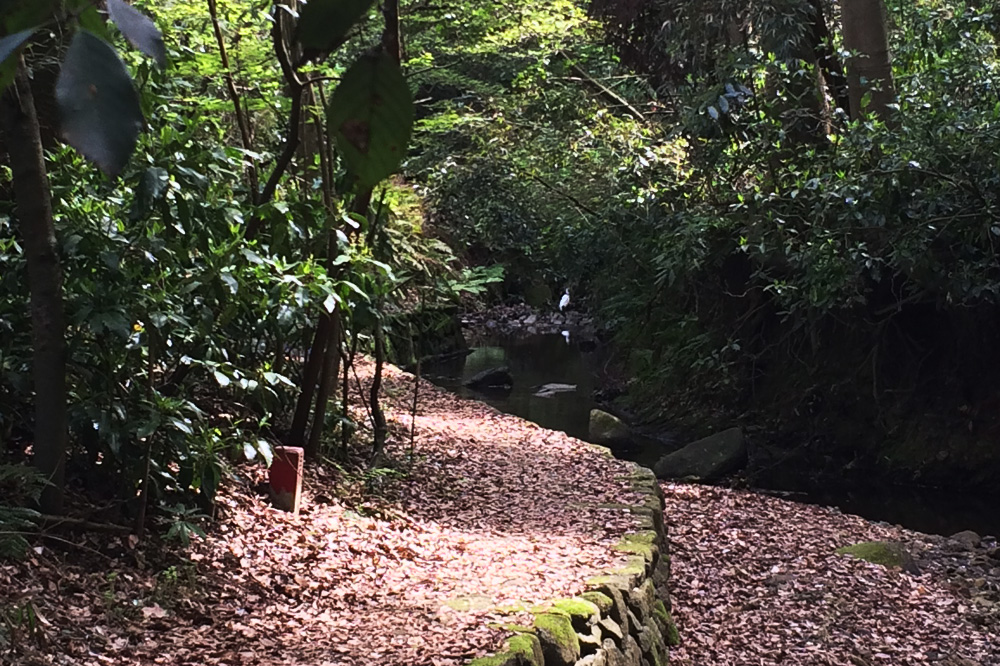 f:id:trail1048:20170602081839j:plain f:id:trail1048:20170602081839j:plain