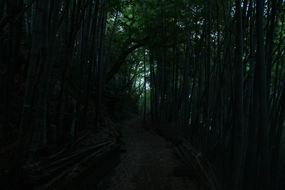 f:id:trail1048:20170605093315j:plain f:id:trail1048:20170605093315j:plain