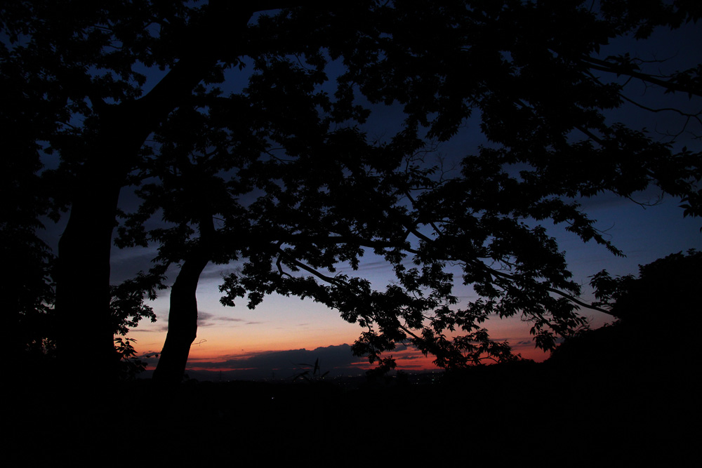 f:id:trail1048:20170605093328j:plain f:id:trail1048:20170605093328j:plain