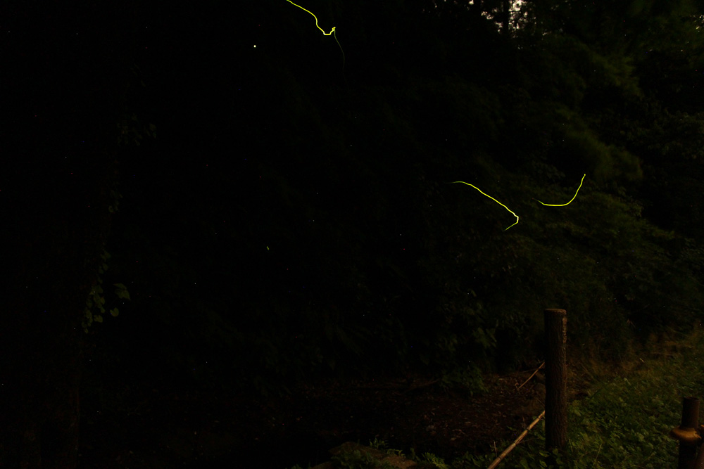 f:id:trail1048:20170605093357j:plain f:id:trail1048:20170605093357j:plain