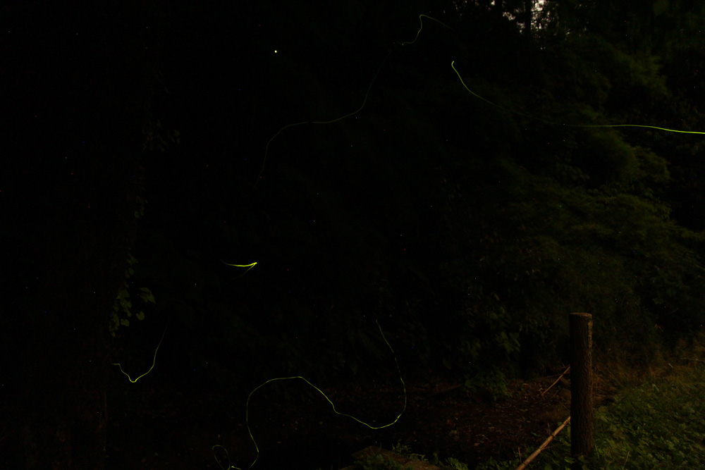 f:id:trail1048:20170605093407j:plain f:id:trail1048:20170605093407j:plain