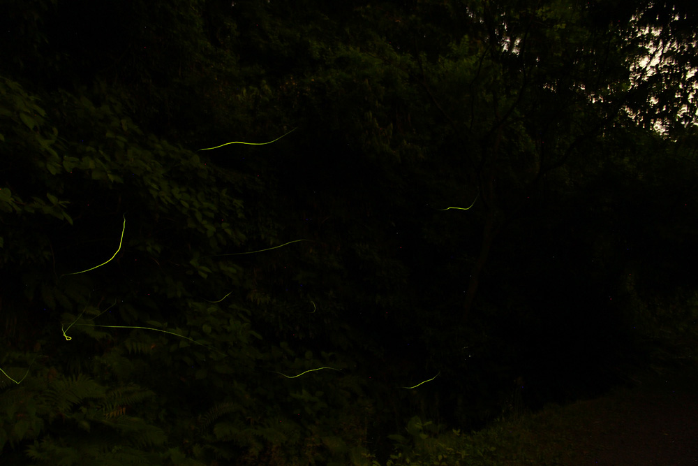 f:id:trail1048:20170605093410j:plain f:id:trail1048:20170605093410j:plain