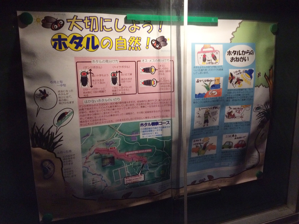 f:id:trail1048:20170605093711j:plain f:id:trail1048:20170605093711j:plain