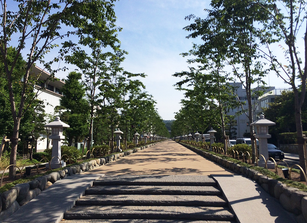 f:id:trail1048:20170616115235j:plain