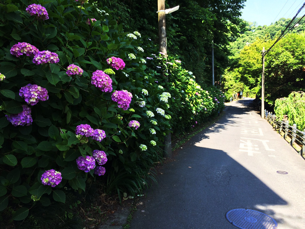 f:id:trail1048:20170616115259j:plain