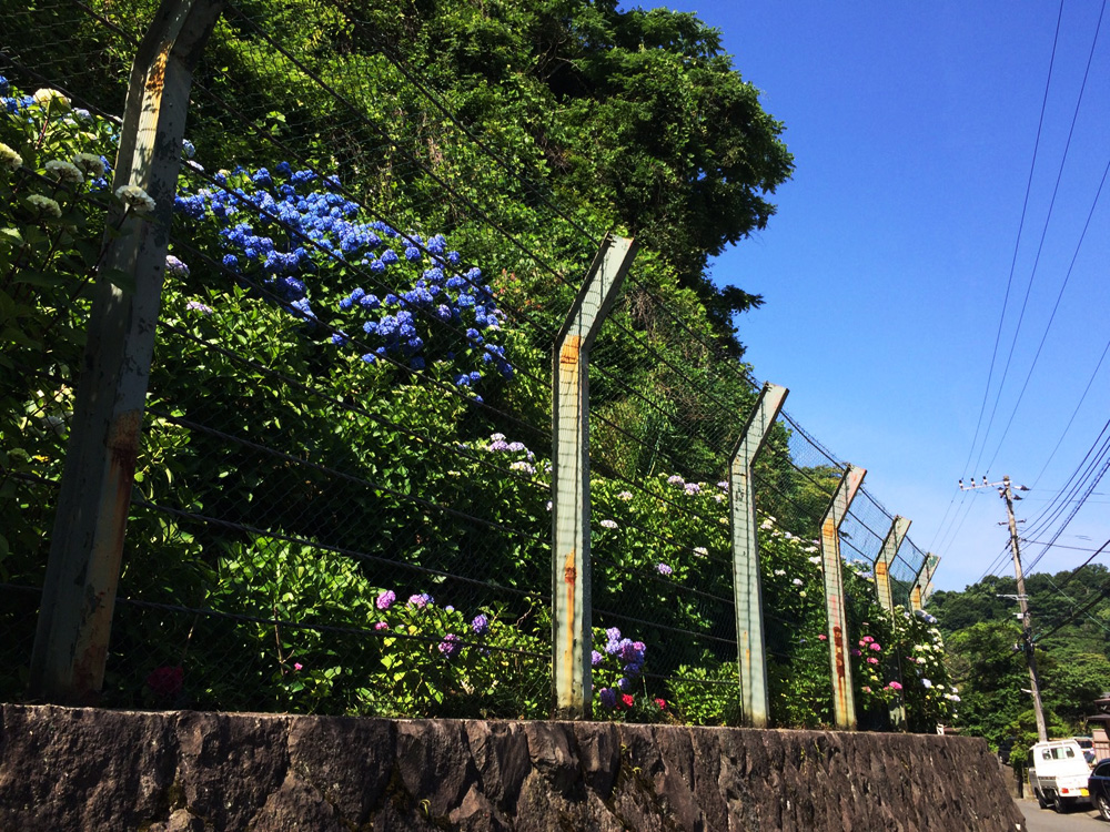 f:id:trail1048:20170616115303j:plain