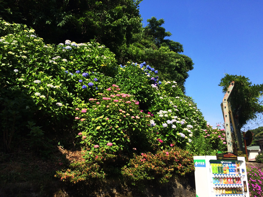 f:id:trail1048:20170616115306j:plain