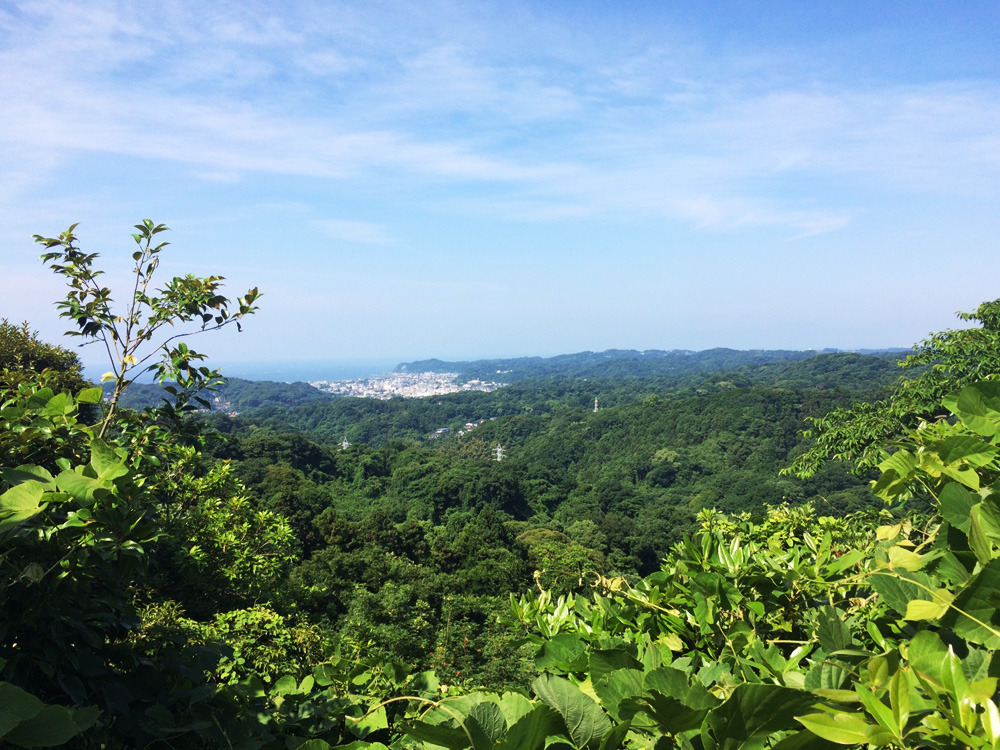 f:id:trail1048:20170616115312j:plain