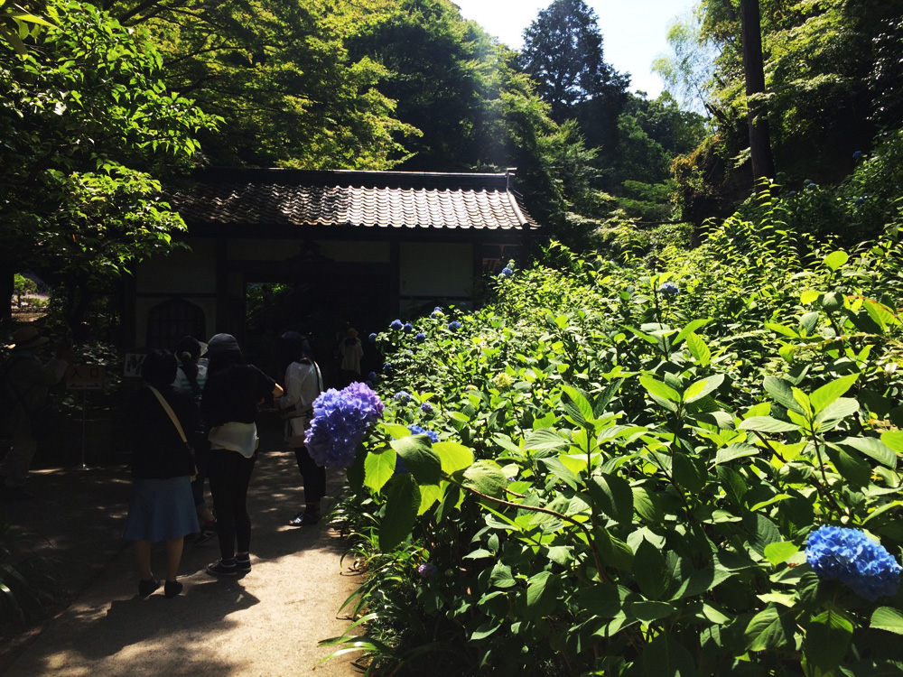 f:id:trail1048:20170616115333j:plain