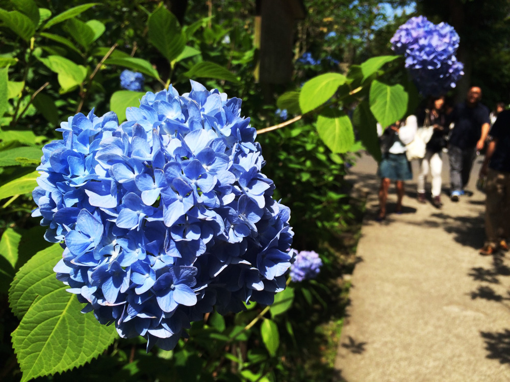 f:id:trail1048:20170616115335j:plain