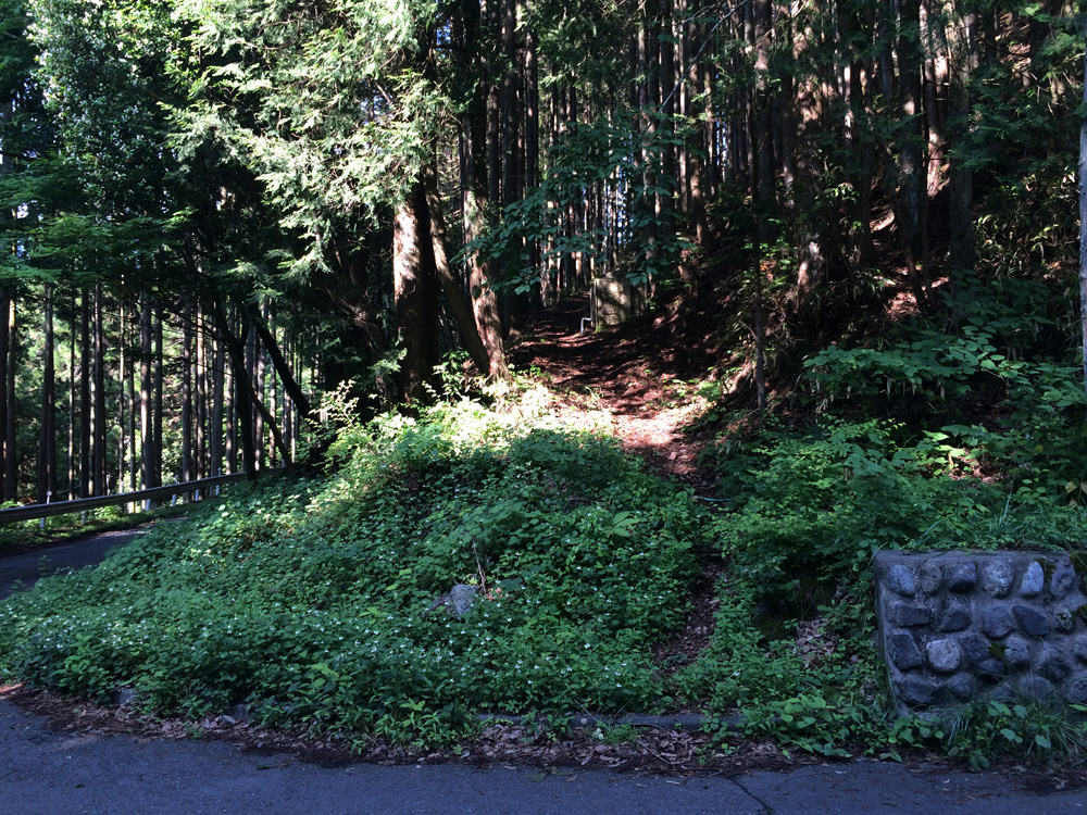 f:id:trail1048:20170626134729j:plain f:id:trail1048:20170626134729j:plain