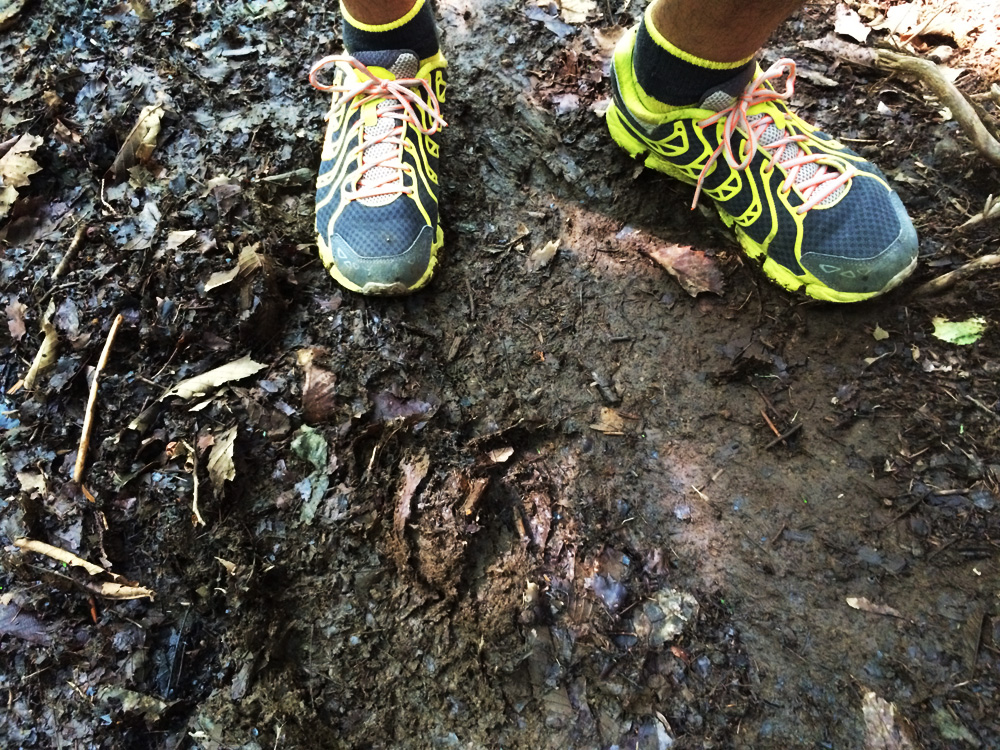 f:id:trail1048:20170626134750j:plain f:id:trail1048:20170626134750j:plain