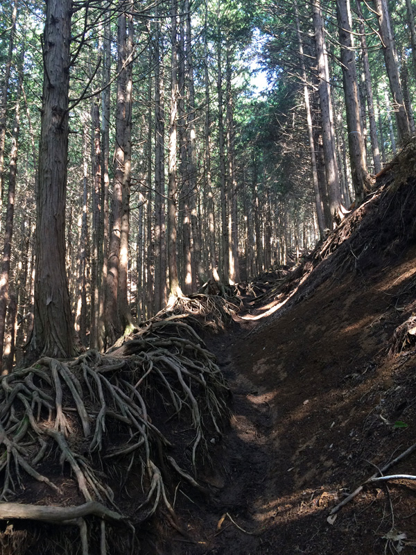 f:id:trail1048:20170626134809j:plain f:id:trail1048:20170626134809j:plain