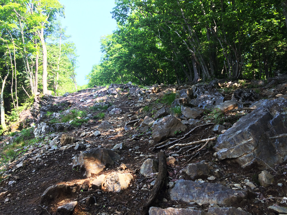 f:id:trail1048:20170626134856j:plain f:id:trail1048:20170626134856j:plain