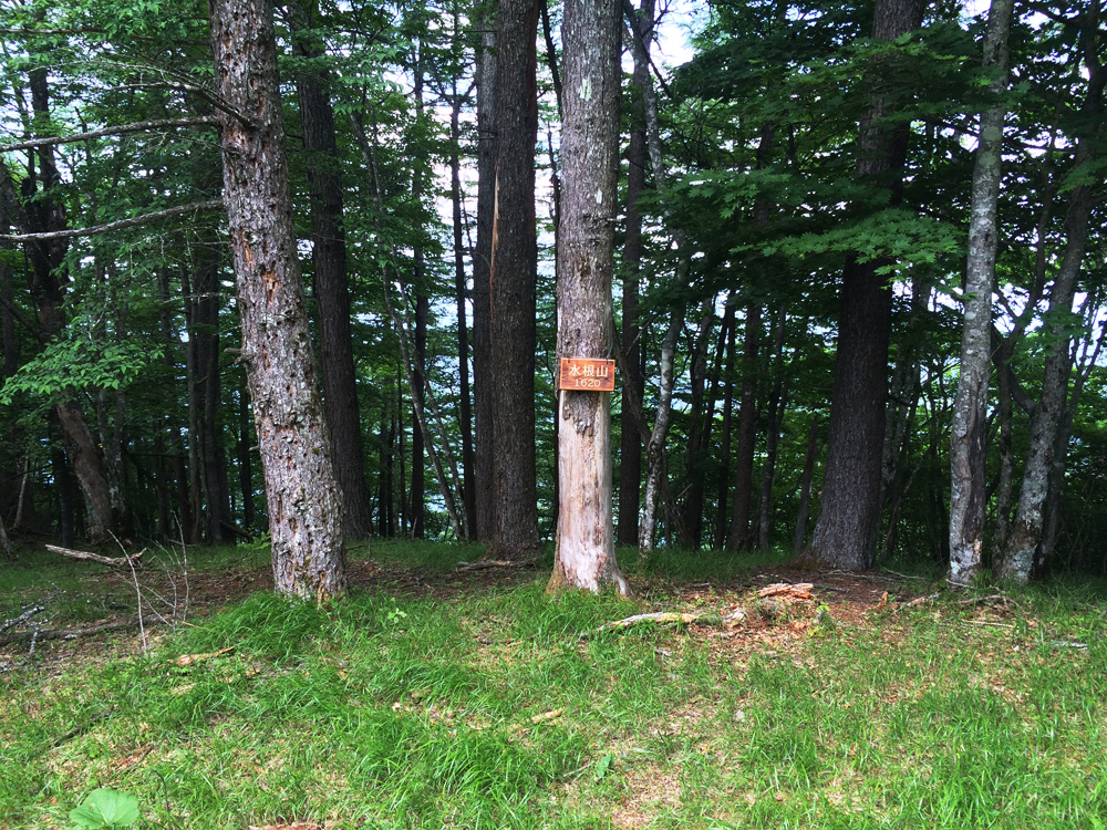 f:id:trail1048:20170626135445j:plain f:id:trail1048:20170626135445j:plain