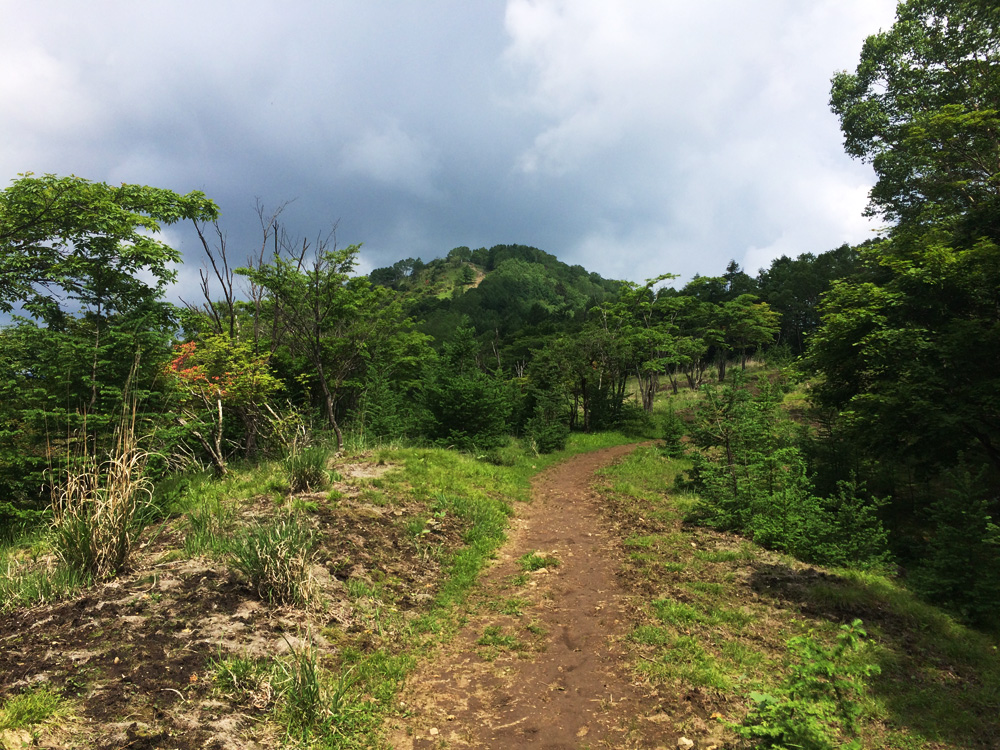 f:id:trail1048:20170626135511j:plain f:id:trail1048:20170626135511j:plain